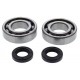 GasGas TXT250 1998-2001 MainBearing/Seal Kit