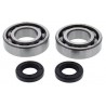 GasGas TXT250 1998-2001 MainBearing/Seal Kit