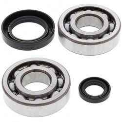 Honda CR250 1984-1991 MainBearing/Seal Kit